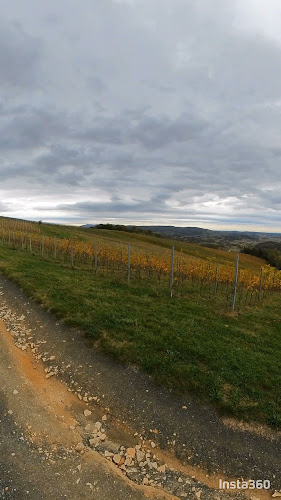 Gornjaki 56, 49283, Hrašćina