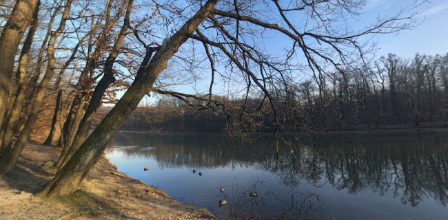 Vidikovac - Gastronomija i ugostiteljstvo