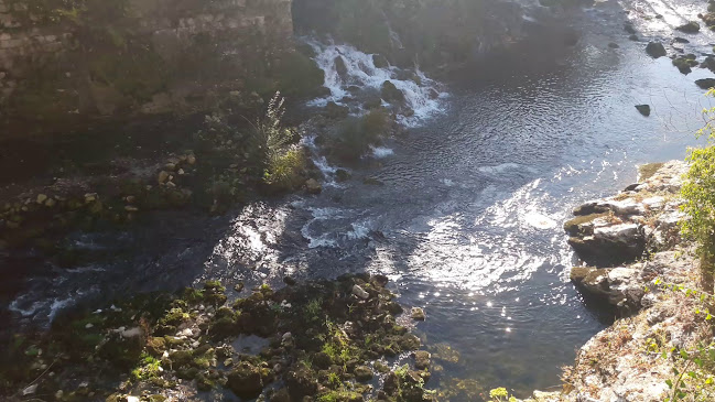 Caffe Bar "Vodena Ovca" - Gastronomija i ugostiteljstvo