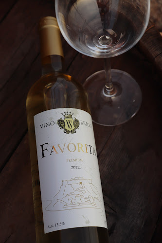 Comentarii opinii despre Morlacco