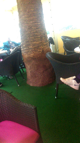 Caffe Bar Verona - Gastronomija i ugostiteljstvo