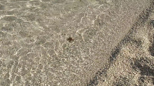 Dalmatinska ul. 29, 21223, Okrug Donji