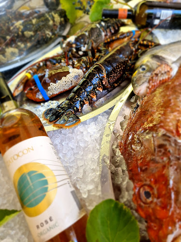 Opinii despre Ribarski Dvor în Prvić Šepurine - Gastronomija i ugostiteljstvo