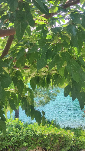 Restaurant "Biser Kandarola"