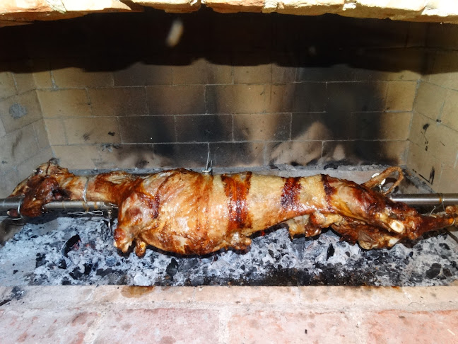 Neptun Bistro & Diving Center - Gastronomija i ugostiteljstvo