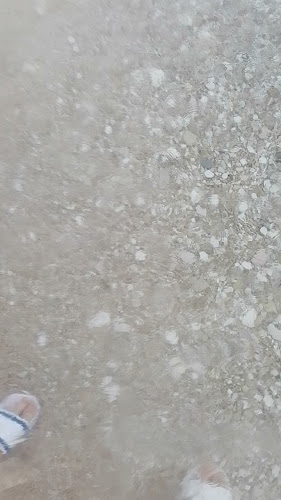 Pokonji dol - Gastronomija i ugostiteljstvo