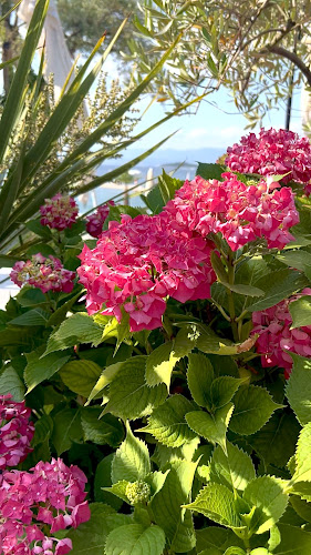 Comentarii opinii despre Mulino Restaurant