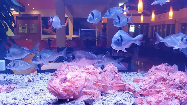 Opinii despre Restaurant Marina Kornati în Biograd na Moru - Gastronomija i ugostiteljstvo