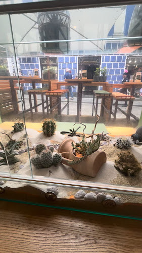 Opinii despre OAZA Joyful Kitchen în Zagreb - Gastronomija i ugostiteljstvo