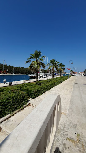 Comentarii opinii despre Restoran Apolon