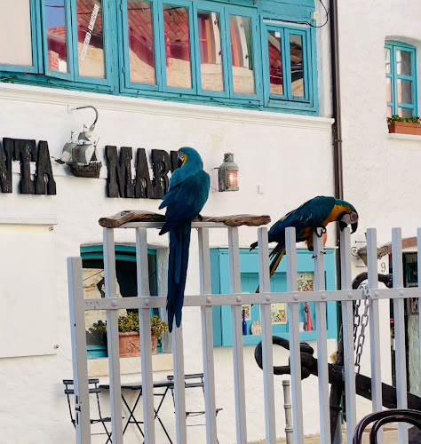 Comentarii opinii despre G&G Santa Maria