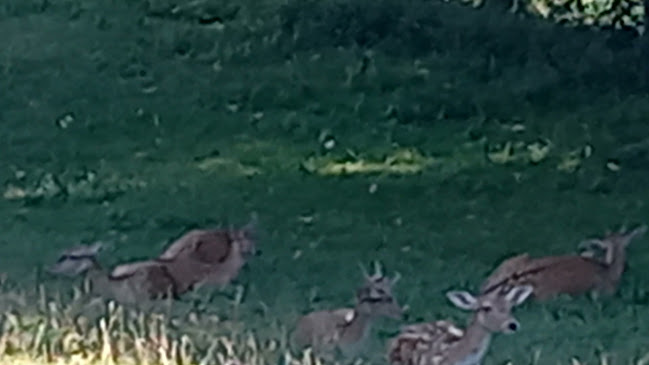 Humska Klet - Hum na Sutli