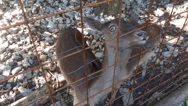 Pansion Lovački - Gastronomija i ugostiteljstvo