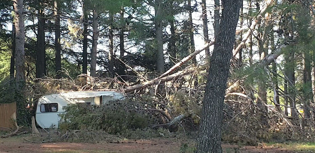 Kastanija 15, 52466, Novigrad