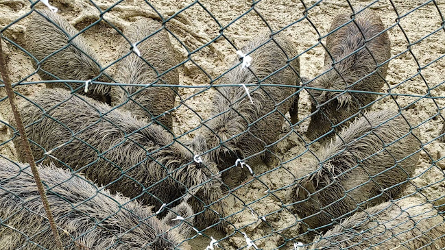 Ključička cesta 118, 10413, Ključić Brdo