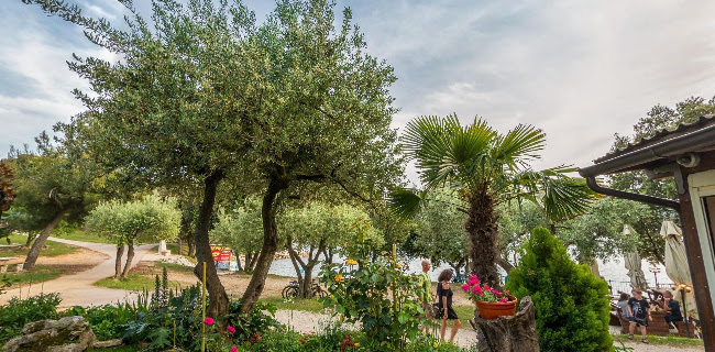 Montraker bb, 52450, Vrsar