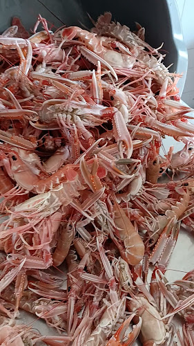 Comentarii opinii despre Restaurant Medusa