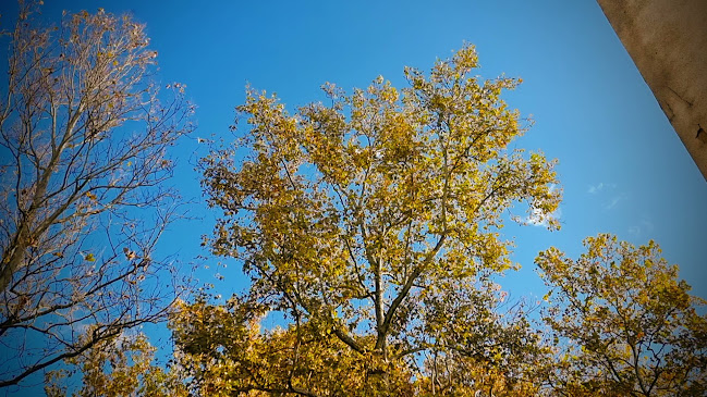 Opinii despre Caffe bar Maksimir Mimice în Zagreb - Gastronomija i ugostiteljstvo