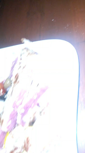 Opinii despre Gurme Tapas & Wine în Hvar - Gastronomija i ugostiteljstvo