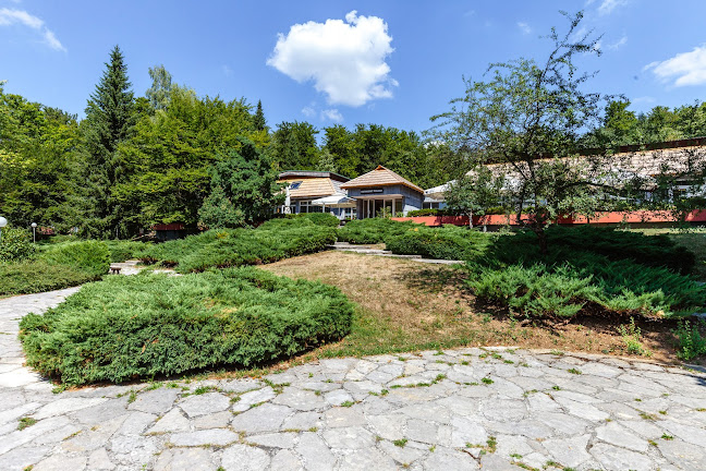 Comentarii opinii despre Poljana Restaurant - Plitvice Lakes National Park