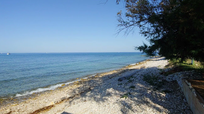 Comentarii opinii despre Ice saloon & beach bar TROPICANO