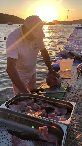 Restaurant Dubrovnik, Lopud - Gastronomija i ugostiteljstvo