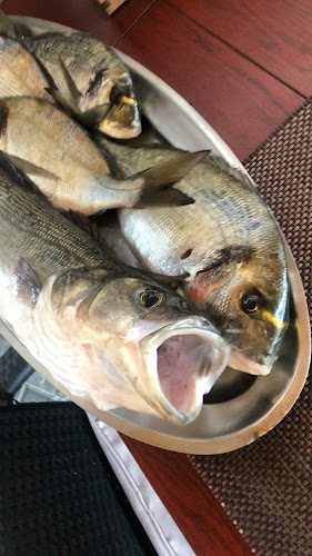 Restaurant Skradin - Konoba Evala - Gastronomija i ugostiteljstvo