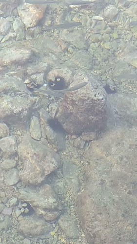 Croatia, Lumbarda 316, 20263, Lumbarda