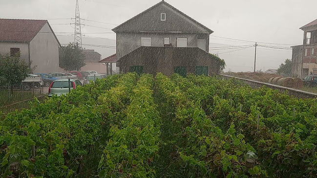 Caffe Bar Trač - Gradac