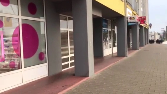 Ul. Dragutina Domjanića 16, 10290, Zaprešić