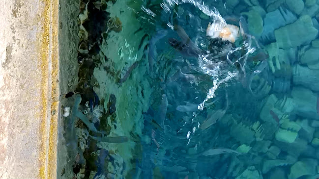 Opinii despre Ben Quick în Supetar - Gastronomija i ugostiteljstvo