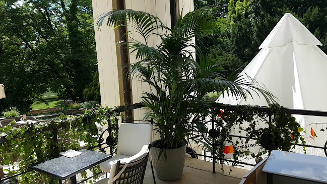 Opinii despre Vidikovac în Zagreb - Gastronomija i ugostiteljstvo