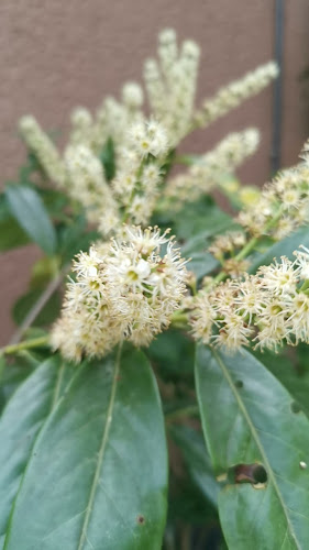 Velvet Cafe - Gastronomija i ugostiteljstvo