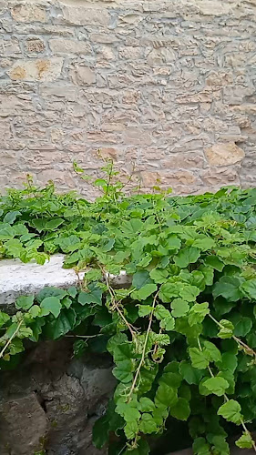 Restaurant & pizzeria Škafet - Skradin