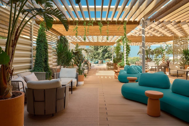 The Mint Bar - Split