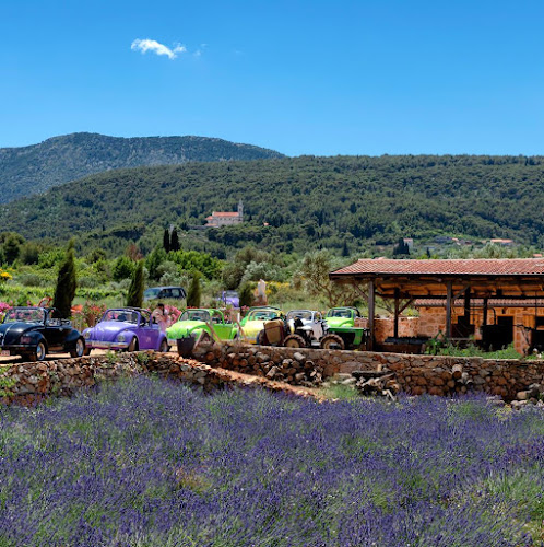 Starigradsko polje, 21460, Stari Grad