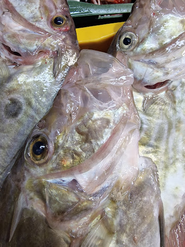 Comentarii opinii despre Restoran Kaiser