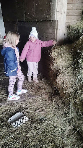 Comentarii opinii despre Restoran Premijer Gaz