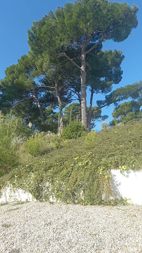 Comentarii opinii despre Caffe Bar Pizzeria La Riva