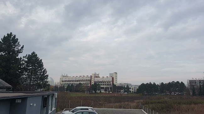 Comentarii opinii despre Restoran Stari Hrast