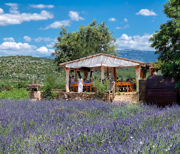 Comentarii opinii despre Hora Hvar