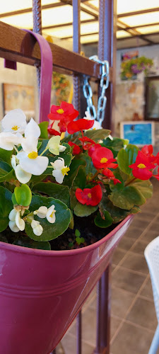 Comentarii opinii despre Bira Bar Rijeka