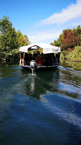 Comentarii opinii despre Restaurant LOPOČ