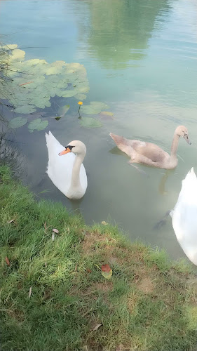 Mali Caffe Bar Bosiljevac