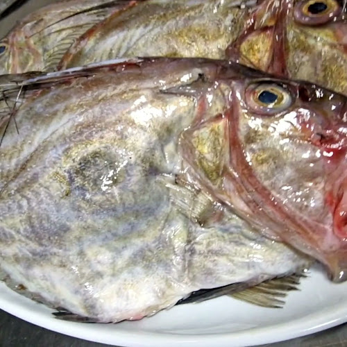 Opinii despre Restoran Kaiser în Zagreb - Gastronomija i ugostiteljstvo