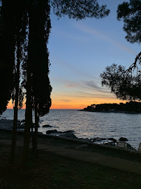 Buffet Aurora - Gastronomija i ugostiteljstvo