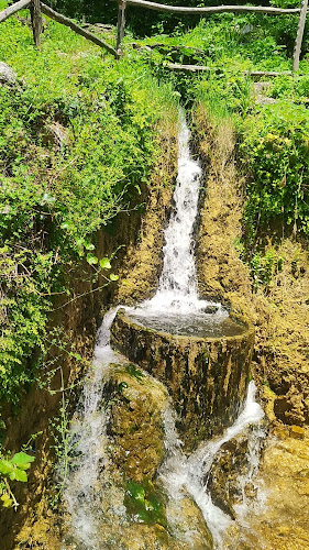 Comentarii opinii despre Seosko Domacinstvo Kristijan