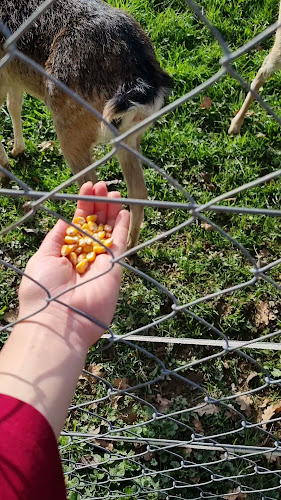 Obrtnička ul. 47, 49240, Donja Stubica