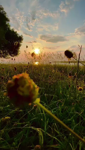 Opinii despre Fast food Tina în Poreč - Gastronomija i ugostiteljstvo