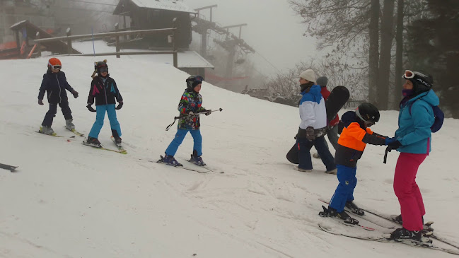 Restoran Zlatni Medvjed - Gastronomija i ugostiteljstvo